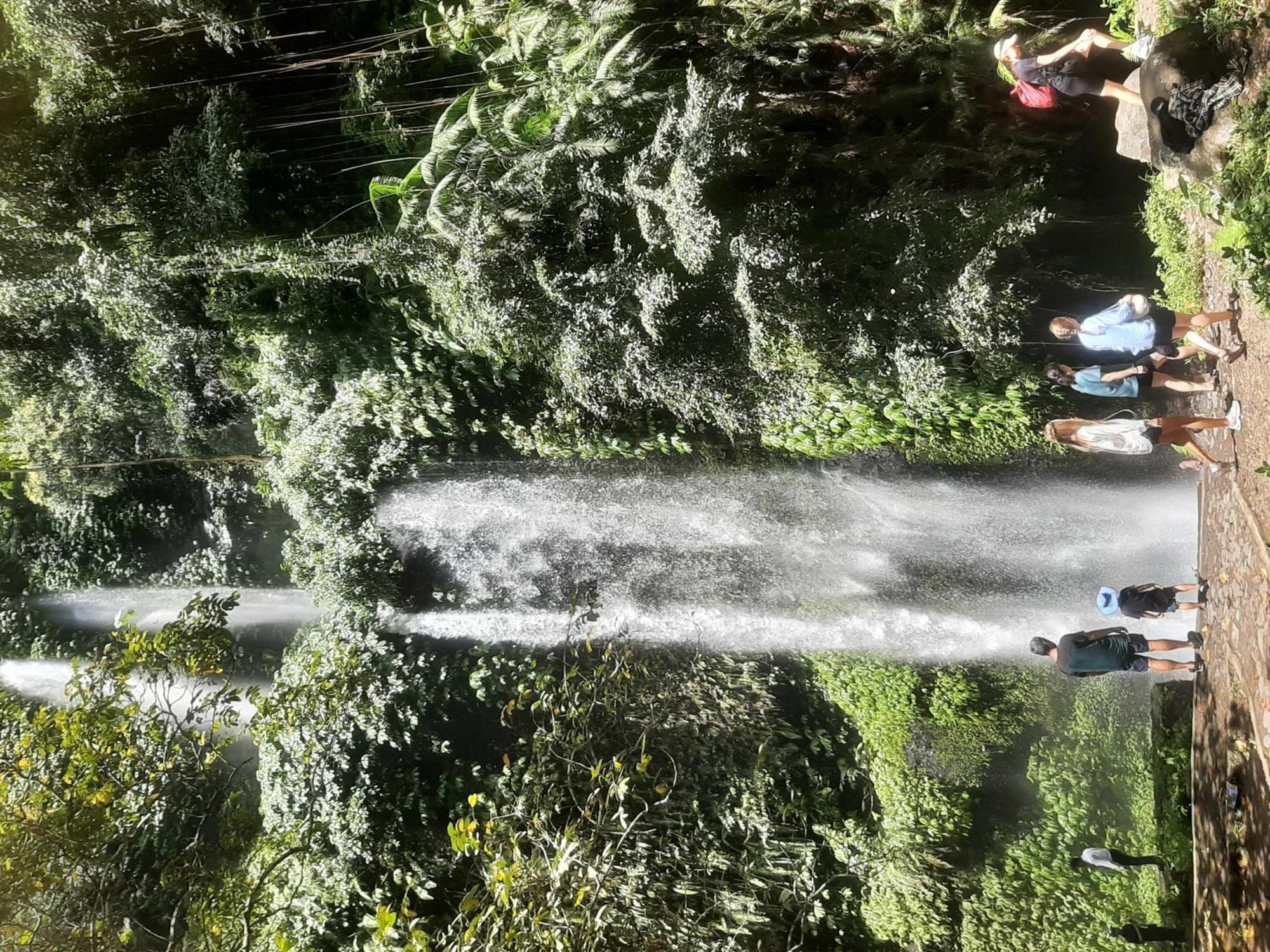 D' Carasti Bungalow Masbagik Dış mekan fotoğraf